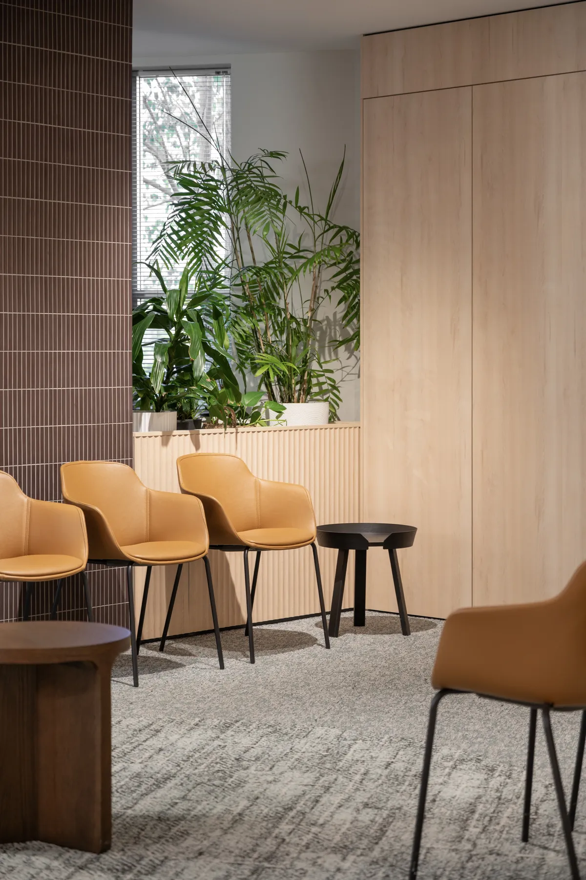 Waiting area with comfortable seating and plants